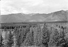 Southwest view at Station 111, looking across Kootenay valley, Station 107 to left of centre 1923