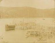 Coal wharf at Neddy Harbour, Newfoundland [graphic material] ca. 1931.