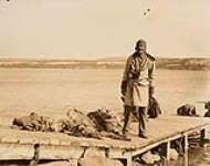 Naskapi hunter standing with furs on a dock on the Kuujjuarapik, (formerly Great Whale River), Quebec [graphic material] ca. 1901-1904.