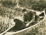 Beaver in canoe with Grey Owl 1931