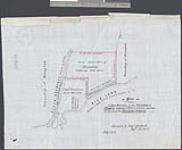 [Hiawatha Reserve no. 36]. Plan of town reservation in the township of Otonabee containing 1120 acres which is granted for the use of the Rice Lake Indians [cartographic material] / surveyed by Richd & Birdsall, Dept. Surveyor [1888] (1828).