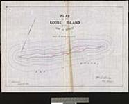 Plan of Goose Island in the Bay of Quinte [cartographic material] / Wm. S. Drewry, P.L.Surveyor 1883