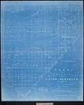 Plan of the townships of Laird & Meredith [cartographic material] / as surveyed by A.G. Forrest, P.L.S 1875[1914].