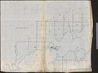[Plan showing Harris Island in Rice Lake asked to be purchase by Mr McBride] [cartographic material] [1874]