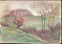 Paysage avec des massifs d'arbres, Somme 1916
