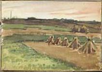 Vue d'une terre agricole avec sept meules de foin, Somme [between August 9 and October 3, 1918].