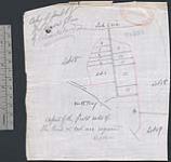 Copy of part of Wilkinson's plan of Pelee Island [cartographic material] [1887]