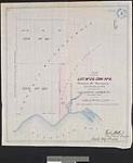 Plan of part of lot no. 28, con. no. 8; township of Tehkummah, Manitoulin Island surveyed for the Toronto Lumber Co., Michaels Bay [cartographic material] / Thadeus J. Patten, Provl. Land Surveyor 1884
