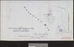Plan of islands 19-20-21-22 in Georgian Bay off Township of Freeman District of Muskoka [cartographic material] / Unwin Browne & Sankey, P.L. Surveyor 1885
