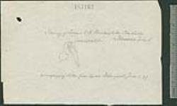 Tracing of Island No. 6, Burleigh Sec., Stony Lake or Horseshoe Island [cartographic material] [1897]