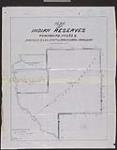 Plan of Indian reserves, townships nos. 2 & 3. S., ranges 21 & 22 East of Principal Meridian [cartographic material] / surveyed by Deputy Surveyor C.C. Forrari [?] 1876[1893].