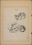 Sketches of a Young Man and a Girl 1929-1942