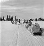 R.C.M.P. Corporal Jim Davies and his Inuit guides traveling by komatik (dog sled) from Moose Factory Island, Ontario, to Great Whale [Kuujjuarapik], Quebec January, 1946.