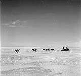 R.C.M.P. Corporal Jim Davies and another man traveling by komatik (dog sled) from Moose Factory Island, Ontario, to Great Whale [Kuujjuarapik], Quebec January, 1946.