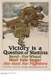 Victory is a Question of Stamina 1917