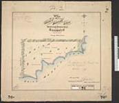 76 CLSR MB. Plan of the survey of Saint Martins Lake [The Narrows] Indian Reserve No. 49. Keewatin. [cartographic material] 1877