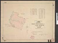 232 CLSR MB. Plan of Indian Reserve at Loon Straits, Lake Winnipeg, Manitoba. [cartographic material] 1885