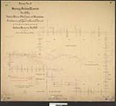 39 CLSR MB. Survey of Indian Reserve No. 63a at Valley River Province of Manitoba for Indians of Gambler's Band in lieu of surrendered portion of Indian Reserve No. 63. [cartographic material] 1895