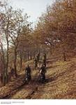 Canadian Army Motorcycles in an English Forest ca. 1943-1965.
