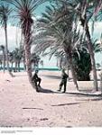 Canadians in Egypt ca. 1943-1965.
