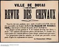 Ville de Douai, Revue des Chevaux, Octobre 1916 1916