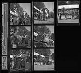 Cart Horse Show, Regents Park, London ca. 1964.
