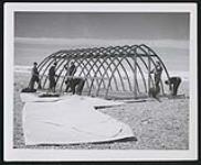 [H.M.C.S. Labrador - Men assembling an Attwell shelter] 1954-1955.