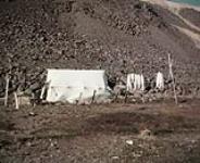 Erecting beacon at Craig harbour - Inuit tents 1955