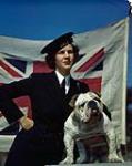 New Women's Royal Canadian Naval Service "Wren" uniform and bulldog 1943