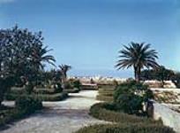 The Waterfront at Valetta, Malta ca. 1943-1965.