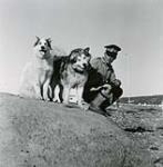 [Mountie with two dogs] [between 1928 and 1950].