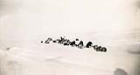 [Dog team lying on snow] [between 1928 and 1944].