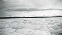 [Two people walk across large Arctic ice field.] [1940-1944]