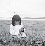 [Young girl picking flowers, Iqaluit, Nunavut] [between 1956-1960]