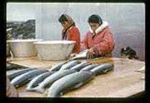 Two women [Mae Annanack, and Susie Morgan] cleaning Arctic char on an outdoor counter while a young girl looks, Kangiqsualujjuaq, Quebec [between July 16-26, 1960].