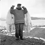 [Man smoking and holding up arctic fox fur pelts] [between 1956-1960]