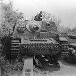 [Front view of Brummbar SP gun of the Wehrmacht, France, 1944.] 1944