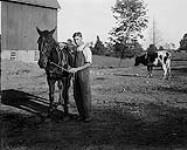 British farmer boys on Kingston farms