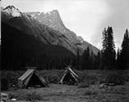 Jacques Lake Camp, Alberta