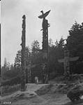 Indian totems in Stanley Park 1926