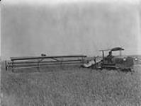 Modern farm equipment cutting wheat 1931