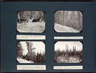 J.D. Soper's dog team on the Conibear lake trail; Conibear lake trail in banksian pine woods; View of side of a banksian pine forested ridge on Conibear lake trail; Muskeg lowland on Conibear lake trail November 17, 1932