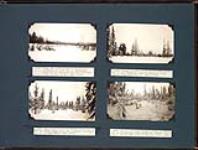 Swamp and forest scene about 7 miles northwest of Cabin No. 1; Swampy lowlands grown to stunted spruce and tamarack; Open dwarf forest of black spruce in swamp lands; Forest of dwarf spruce 4 miles southwest of Kennedy lake January 30-February 1, 1933