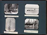 J.D. Soper at a typical noon winter camp near Salt Creek, Pine Lake road; J.D. Soper travelling with dog train on Slave River near La Butte; Giant redwing blackbirds perched in tall spruce, Government Hay Camp; Warehouse at Government Hay Camp during the flood period April 25-May 12, 1933