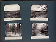 Valley of Little Buffalo river looking east; Characteristic view of black spruce lowland at Little Buffalo river in Township 124, Range 17; Typical sandy ridge country; View of Little Buffalo river near southern boundary of Township 125, Range 17 July 24-26, 1933