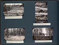 Buffalo wallow on sandy soil 5 miles south of Moosehorn slough; Porcupine near Moosehorn slough; Buffalo wallows and rubbing posts in open pine woods; Pine lake park cabin, rear view, looking south-southeast September 11-12, 1933