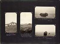 Hudson's Bay Company Interpretor's house at Pangnirtung; View of Cocked Hat Island; Musk-oxen and dog at Cape Sparbo, Devon Island 1928