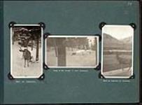 Deer at Canmore; Snap in the woods - near Canmore; Buck on sidewalk at Canmore [1918]