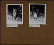 Huskies 13 December 1950.