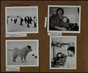 Inuit children playing a game ; An Inuk woman and baby inside an igloo ; A good husky specimen ; An Inuk boy with kettle and furs inside an igloo 1953.